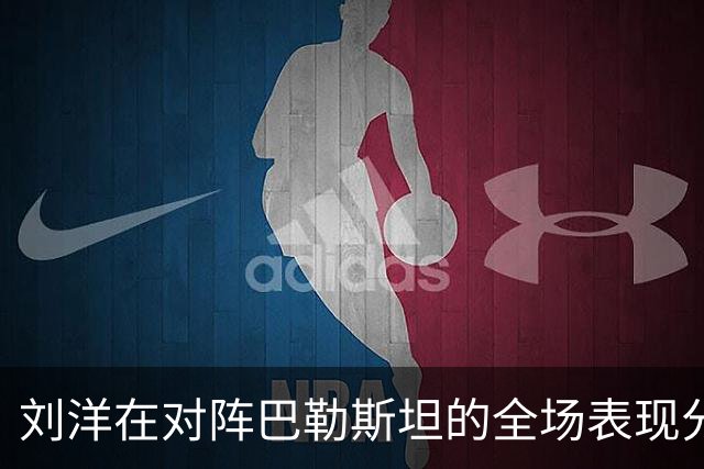 刘洋在对阵巴勒斯坦的全场表现分析：数据背后的故事