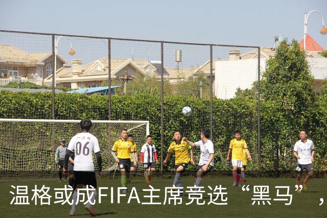温格或成FIFA主席竞选“黑马”，内部支持声渐起